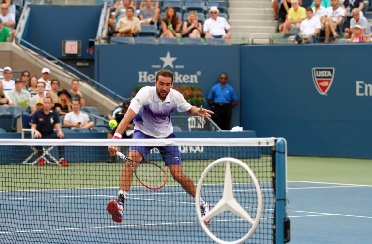 Cilic (6)