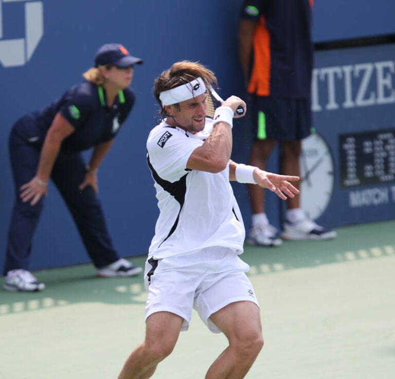 David_Ferrer_2