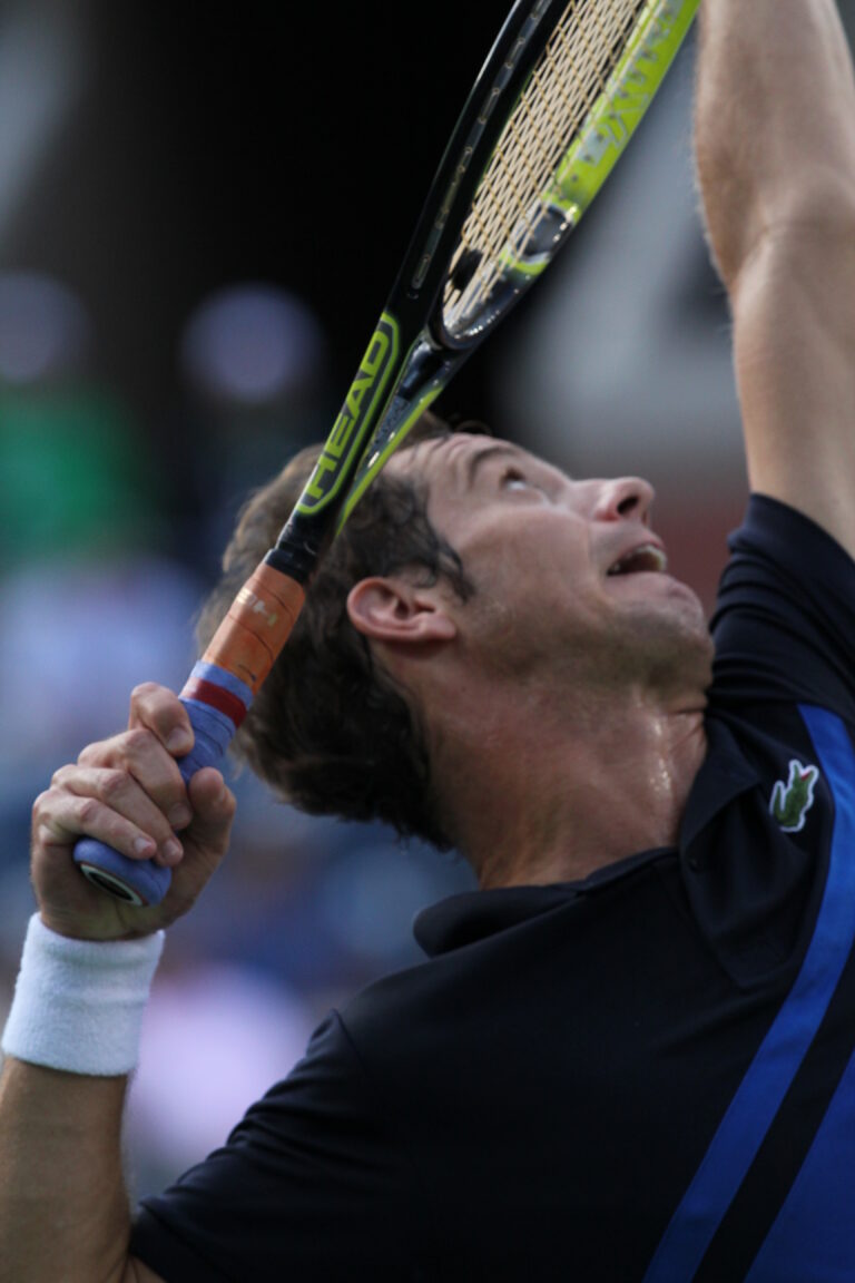 Gasquet (2)