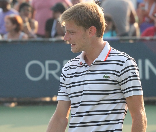 Goffin_Crop_01