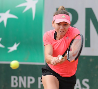 Halep web