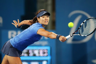 Li_Na_Pic_1