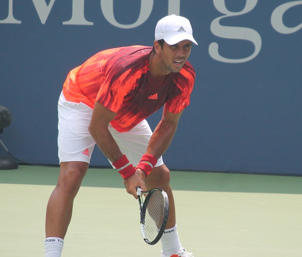 Verdasco_Crop_01
