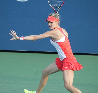 bouchard web