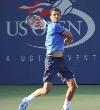 dimitrov web 2