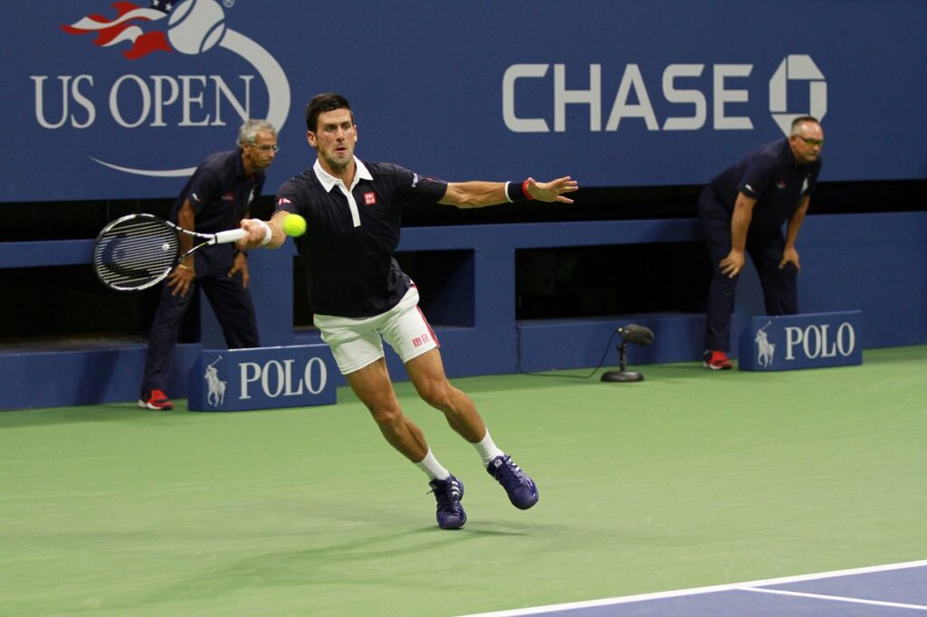 Djokovic (17)