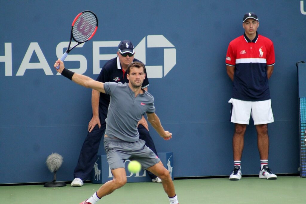 Grigor Dimitrov (19)