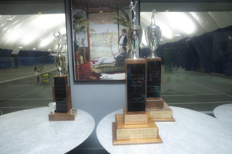 AlphaSights Repeats As League Champion At Metro Corporate League’s Fall 2024 Season End-Of-Season Finals and Party